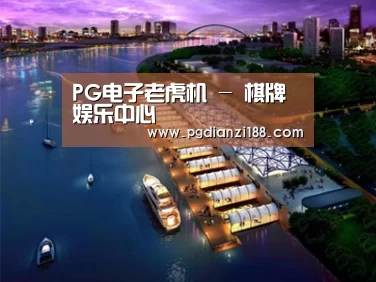 案例展示八