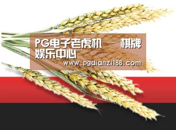 PG电子老虎机 - 棋牌娱乐中心