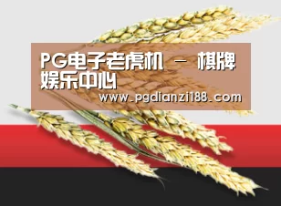 PG电子老虎机 - 棋牌娱乐中心