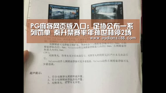 PG麻将网页版入口:足协公布一系列罚单 秦升禁赛半年孙世林停2场(图1) PG麻将网页版入口