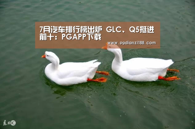 7月汽车排行榜出炉 GLC、Q5挺进前十:PGAPP下载(图3) PG麻将网页版入口