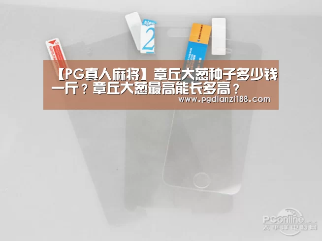【PG真人麻将】章丘大葱种子多少钱一斤?章丘大葱最高能长多高?(图2) PGAPP下载