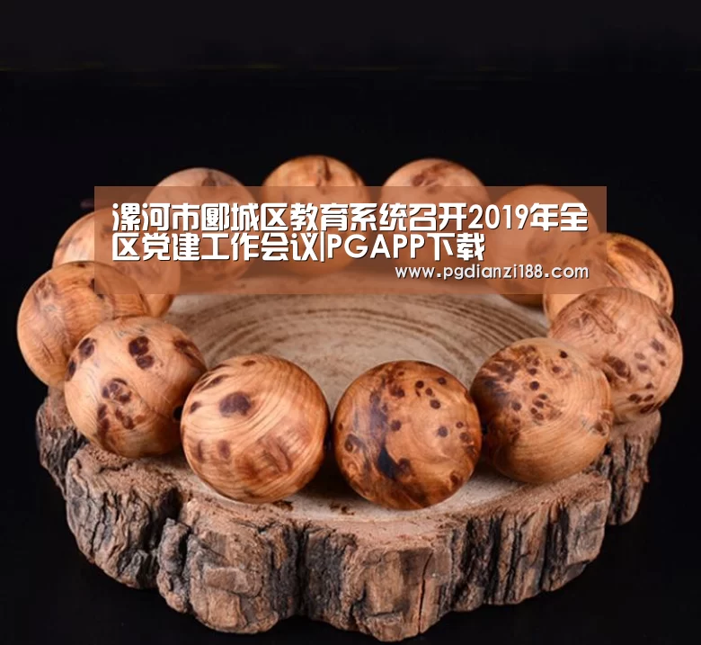 PGAPP下载